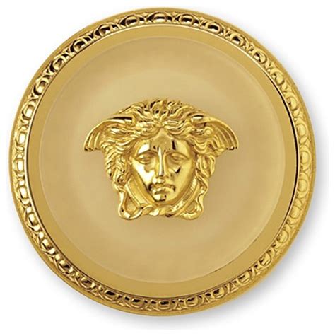 versace classic medusa gold wall mount cup holder 68100620|Versace Giftware Collection .